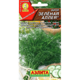 ЗЕЛЕНАЯ АЛЛЕЯ