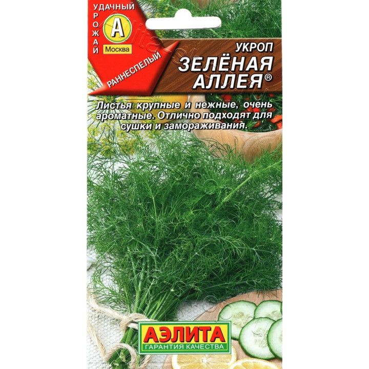 ЗЕЛЕНАЯ АЛЛЕЯ