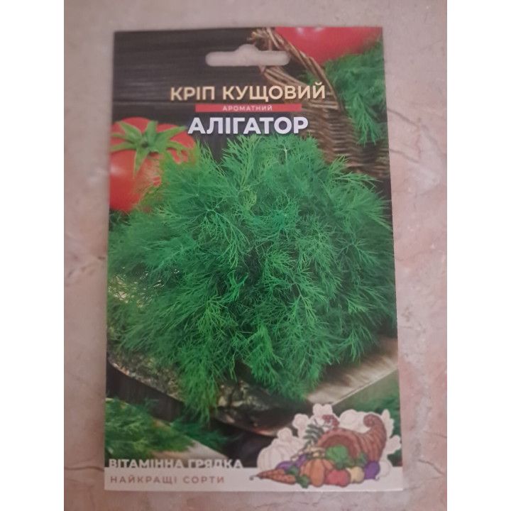 КЕНТАВР