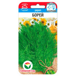БОРЕЙ
