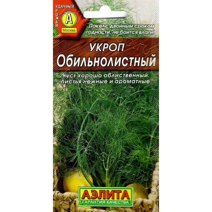 ОБИЛЬНОЛИСТНЫЙ
