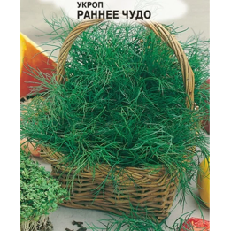 РАННЕЕ ЧУДО