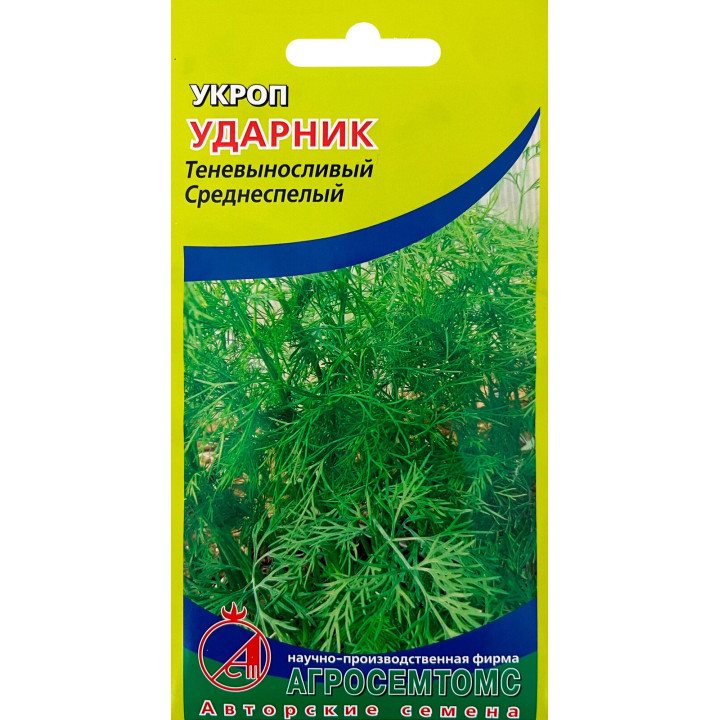 УДАРНИК
