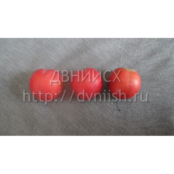 МИСС ХАБАРОВСК