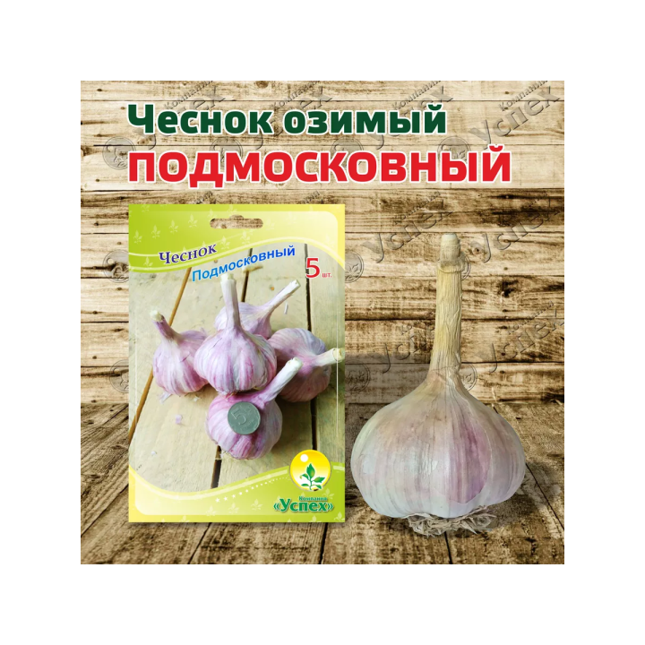 УСПЕХ