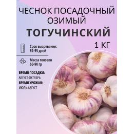 ТОГУЧИНСКИЙ