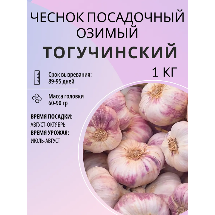 ТОГУЧИНСКИЙ