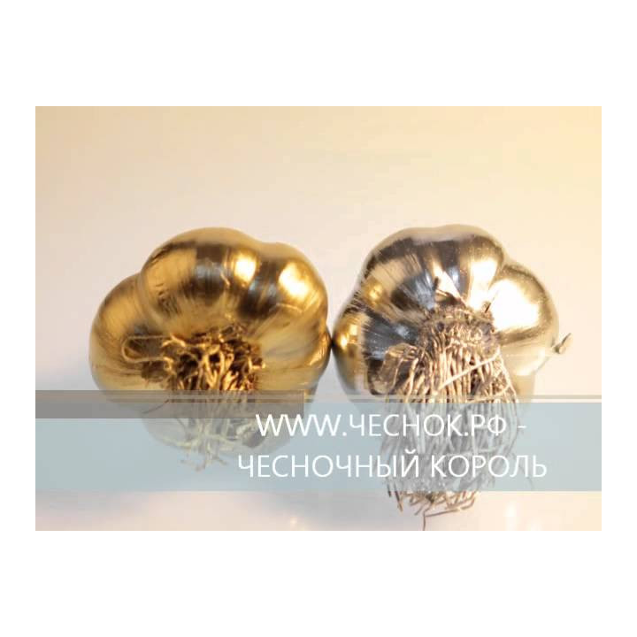 ЧЕСНОЧНЫЙ БАРОН