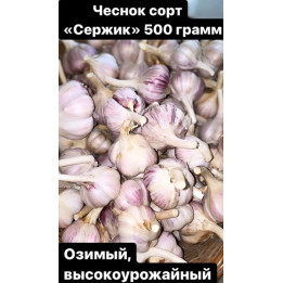 СЕРЖИК