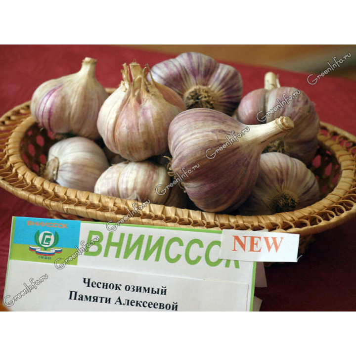 ПАМЯТИ АЛЕКСЕЕВОЙ