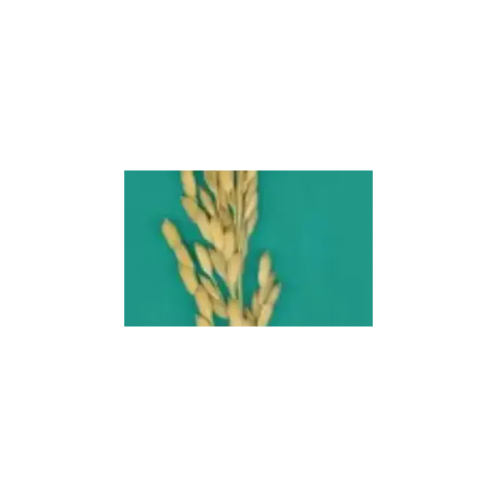 НОВАТОР