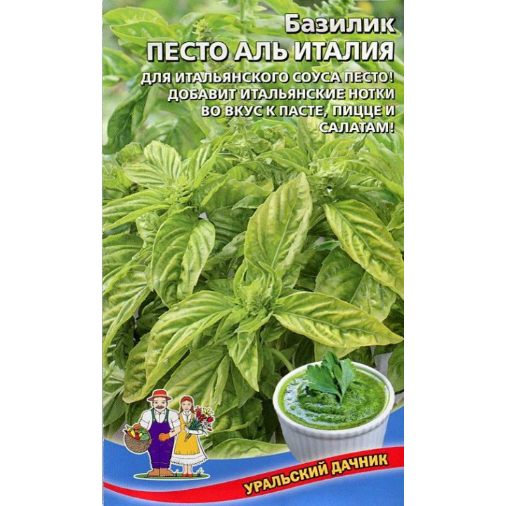 ПЕСТО АЛЬ ИТАЛИЯ