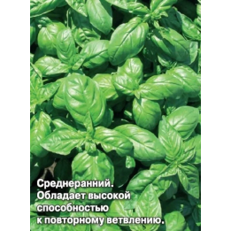 ВАЛЯ