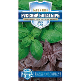 РУССКИЙ БОГАТЫРЬ