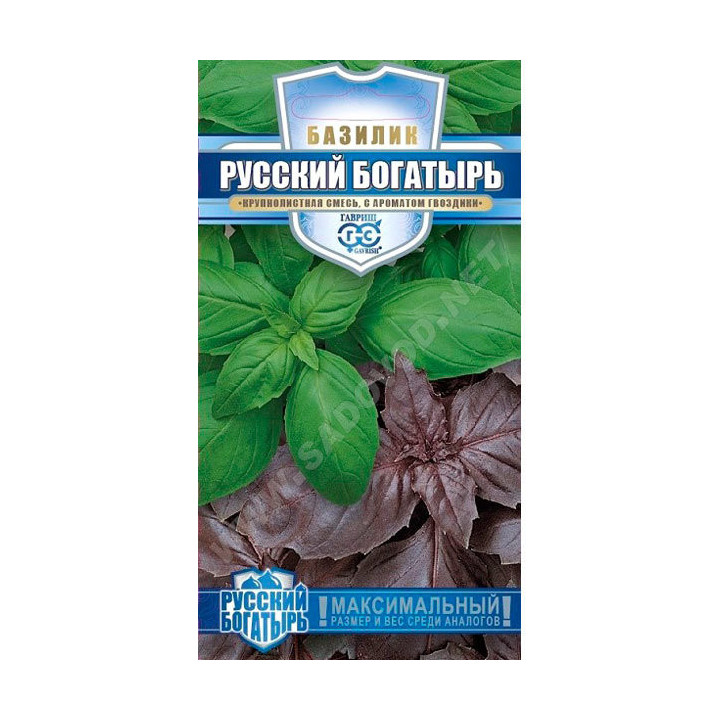 РУССКИЙ БОГАТЫРЬ