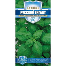 РУССКИЙ ГИГАНТ ЗЕЛЕНЫЙ
