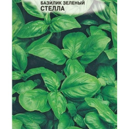 СТЕЛЛА