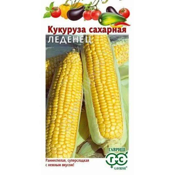 ЛЕДЕНЕЦ