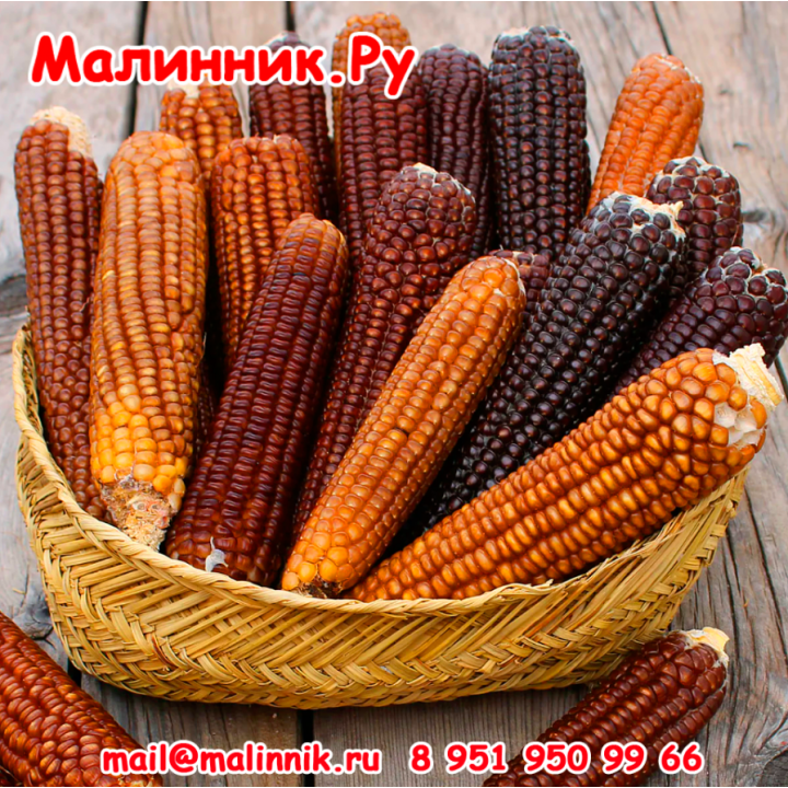 КАРАМЕЛЬКА
