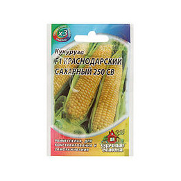 САЛИНА