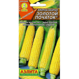 ЗОЛОТОЙ ПОЧАТОК