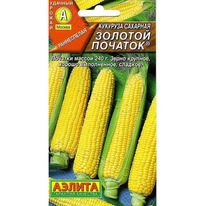 ЗОЛОТОЙ ПОЧАТОК