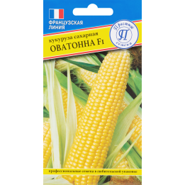 ОВАТОННА