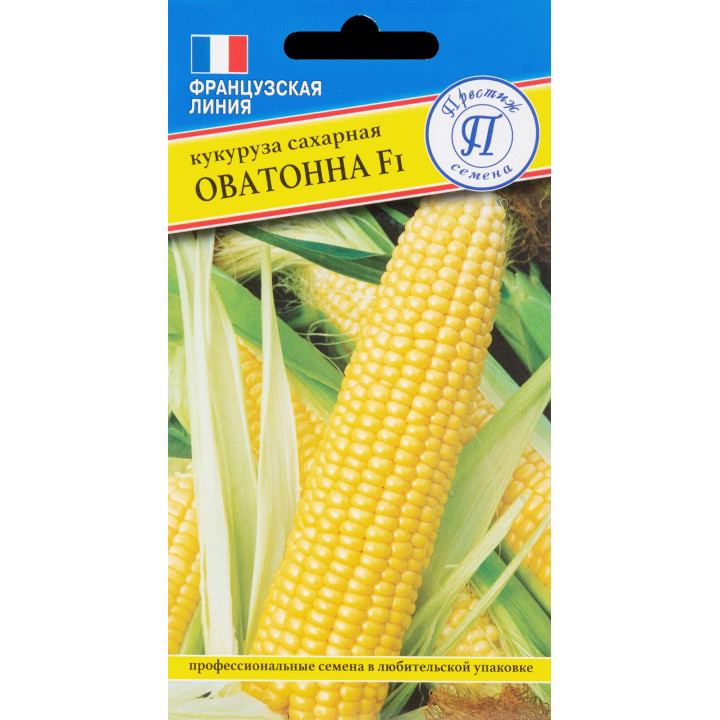 ОВАТОННА