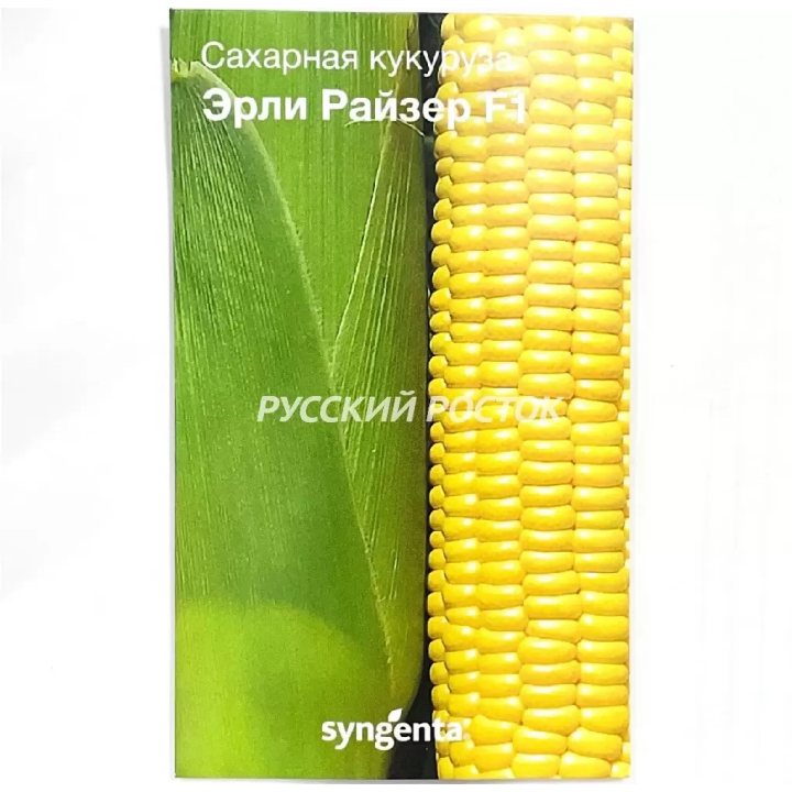 ЭРЛИ РАЙЗЕР