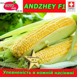 АНДЖЕЙ