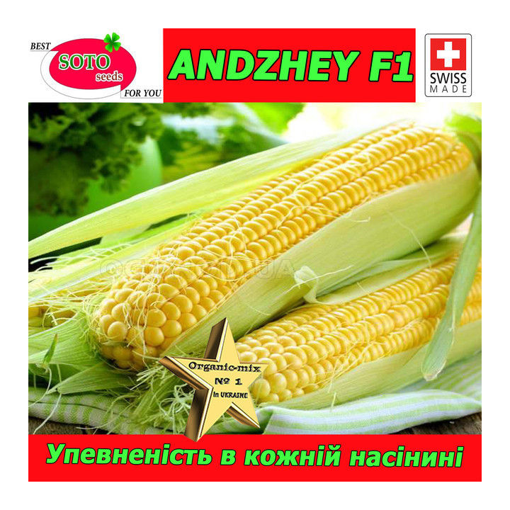 АНДЖЕЙ