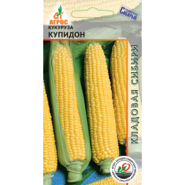 КУПИДОН