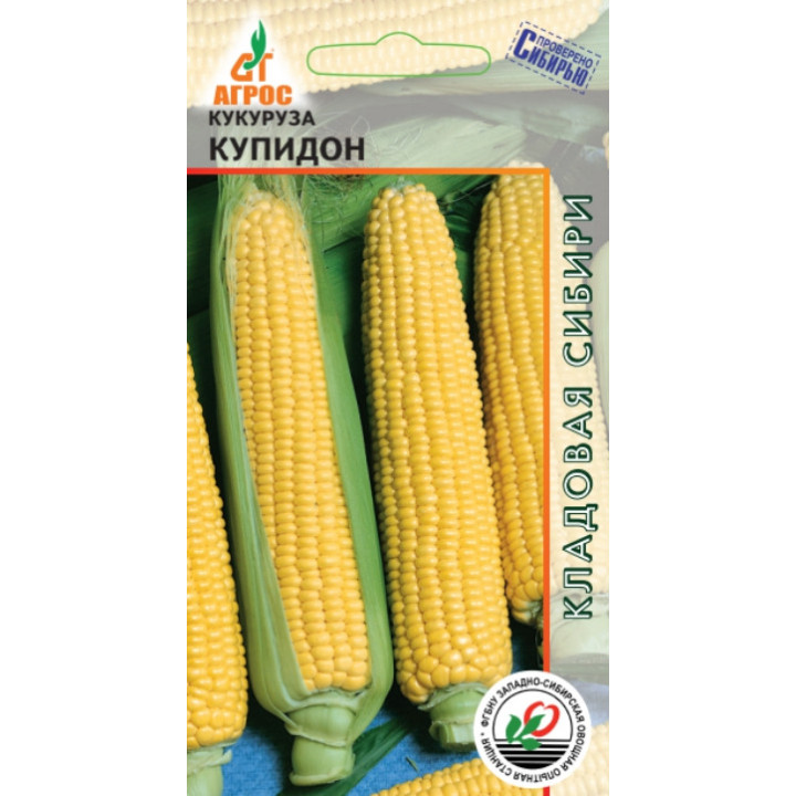 КУПИДОН