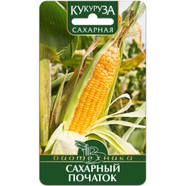САХАРНЫЙ ПОЧАТОК