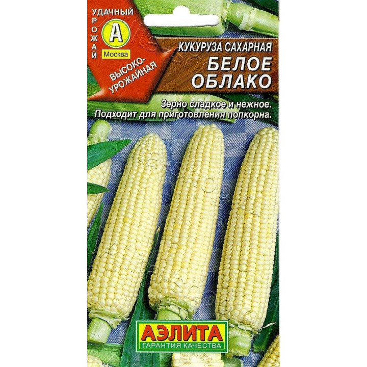 БЕЛОЕ ОБЛАКО