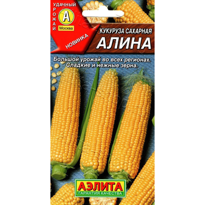 АЛИНА