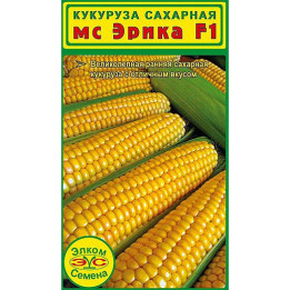 МС ЭРИКА