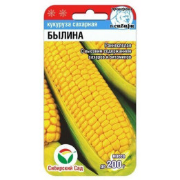 БЫЛИНА