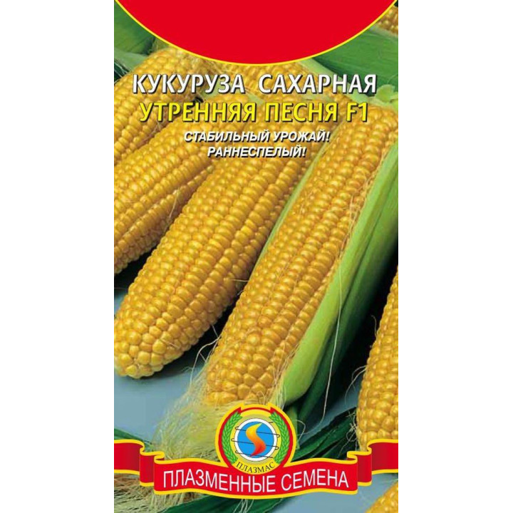 УТРЕННЯЯ ПЕСНЯ