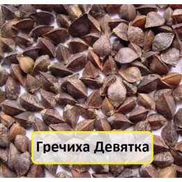 ДЕВЯТКА