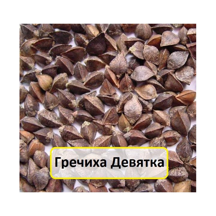 ДЕВЯТКА