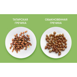 НАТАША