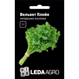 ВЕЛЬВЕТ