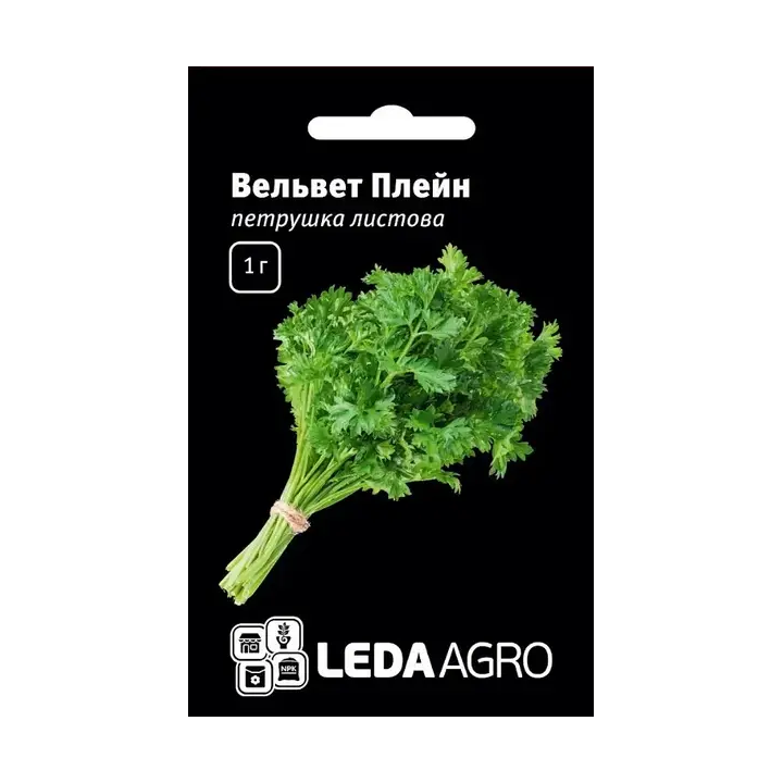 ВЕЛЬВЕТ