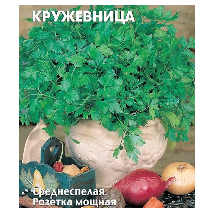 КРУЖЕВНИЦА