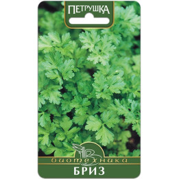 БРИЗ