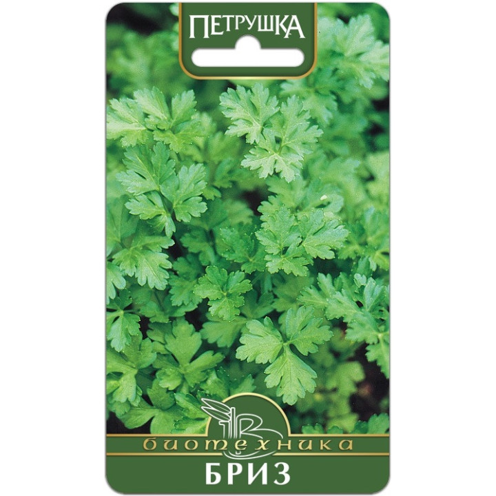 БРИЗ