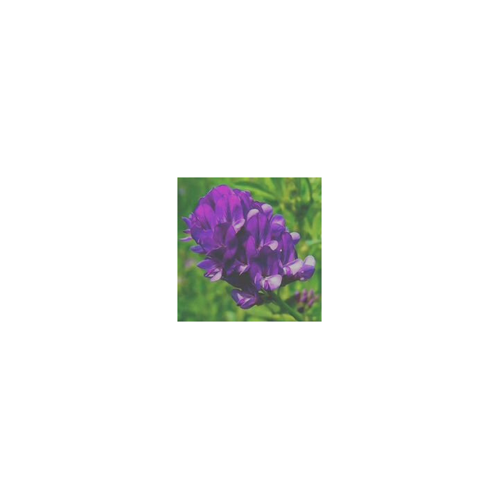 ВНИИОЗ 16