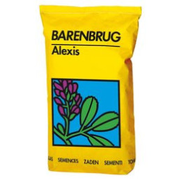 АЛЕКСИС