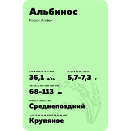 АЛЬБИНОС